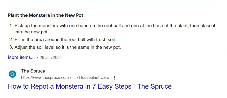 Featured Snippet Example